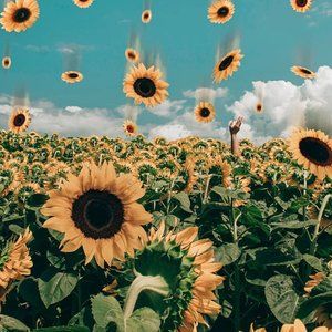 Meet your Posher, Kristin